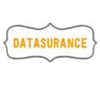 Logo Datasurance
