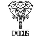 Caocus Caocus