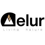Elur Elur